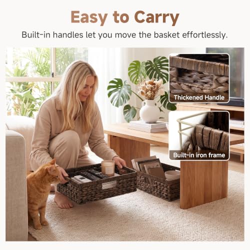 Large Wicker Storage Baskets for Shelves