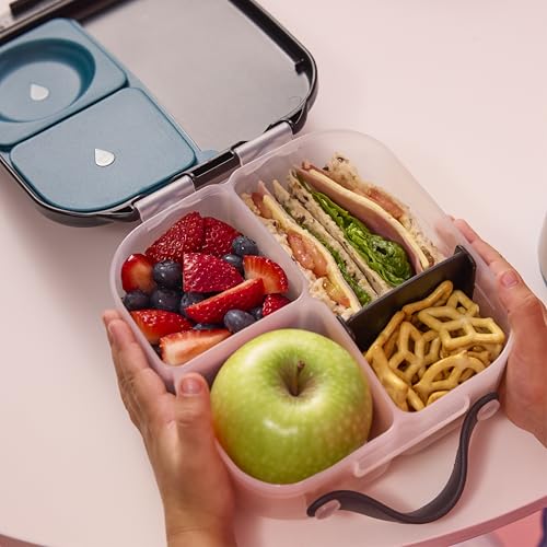 Mini Lunch Box