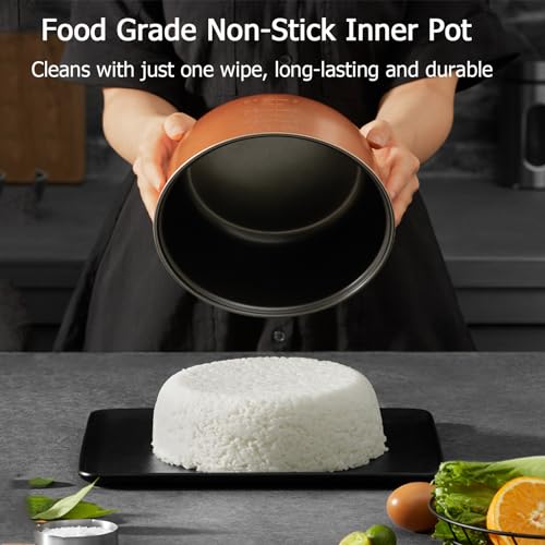 15.8QT Large Commercial rice cooker & warmer 84 cups cooked rice