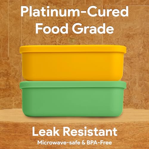 Platinum Silicone Bento Lunch Box Set of 2 (2 Count)