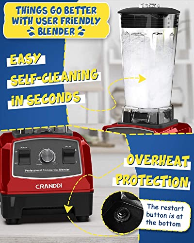 Professional Blender