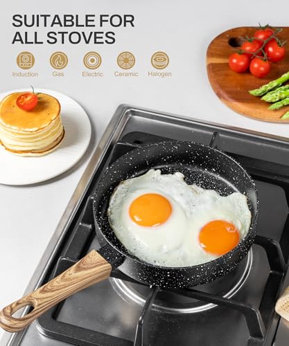 Small Frying Pan Nonstick