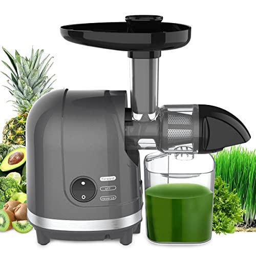 Masticating Juicer Machine 200W Slow Cold Press Extractor for Veggie