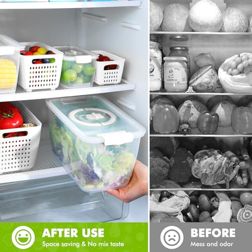 Produce containers for fridge (135.2561 Fl Oz)
