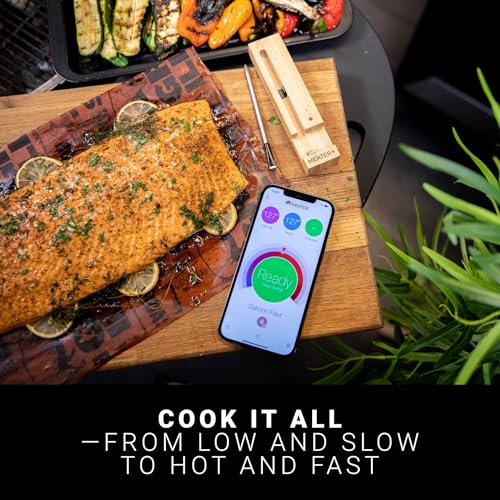 Plus Smart Meat Thermometer