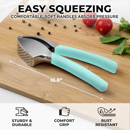 Metal Comfort Grip Garlic Press