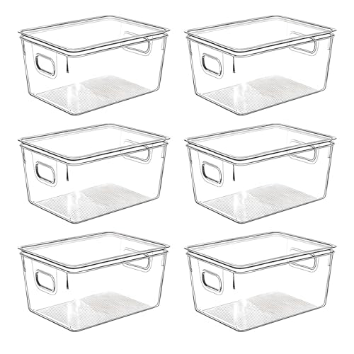 Clear Plastic Storage Bins with Lids (6 Count)