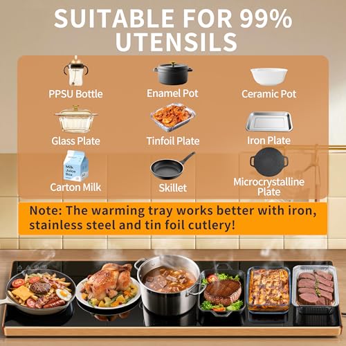 Electric Warming Tray
