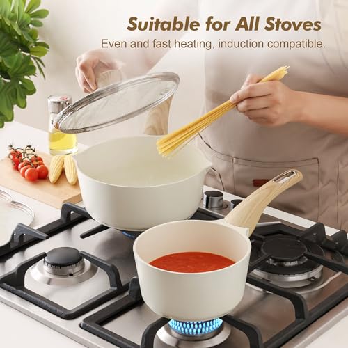 2.0 & 3.0 Quart Ceramic Sauce Pan Sets with Lid (2 Count)