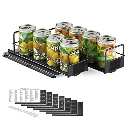 Pull Out Spice Rack Organizer for Cabinet
