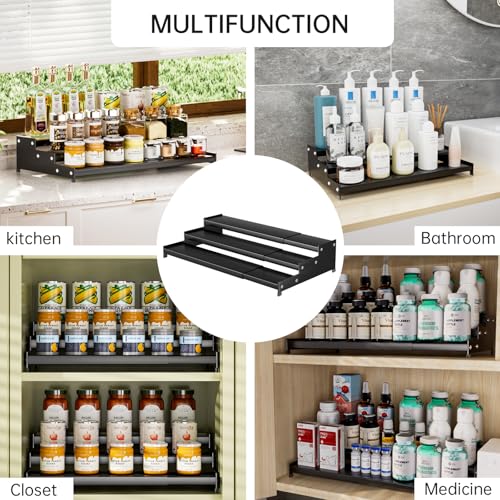 Expandable Carbon Steel Spice Rack Organizer for Pantry