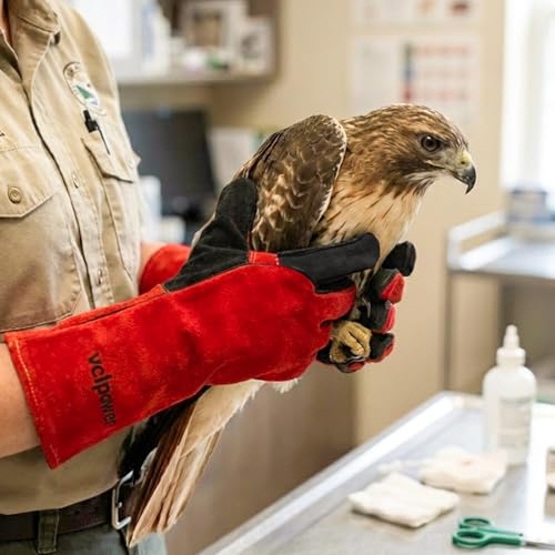 Animal handling Gloves 16
