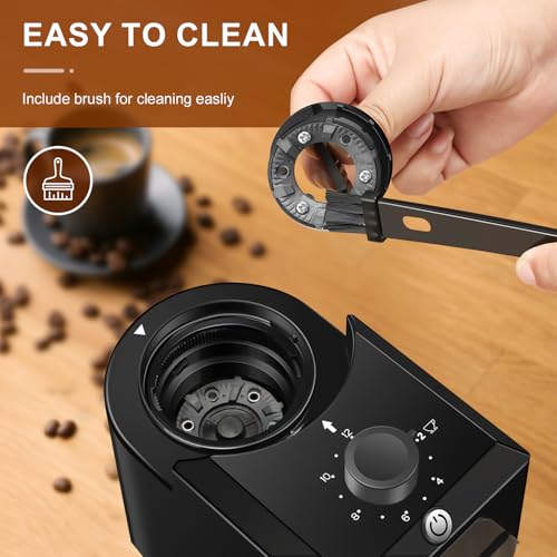 Electric Burr Coffee Grinder