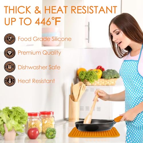 Silicone Trivets for Hot Pots and Pans (2 Count)