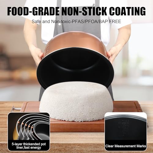 Commercial Rice Cooker