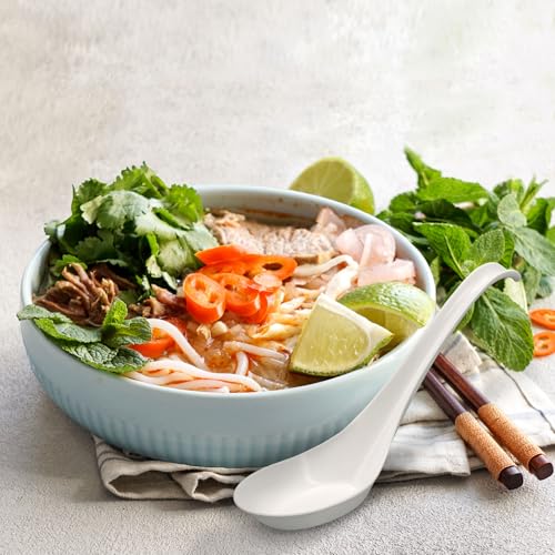 Disposable PLA Cornstarch Asian Soup Spoons with Hook Plastic (600 Count)