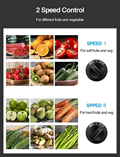 Juicer Machine 500W Centrifugal Juicer with Extra Wide Feed Chute