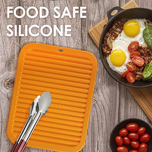 Silicone Trivets for Hot Pots and Pans (2 Count)