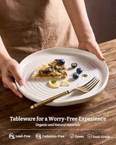 Pluto 12 Piece Stoneware Dinnerware Set