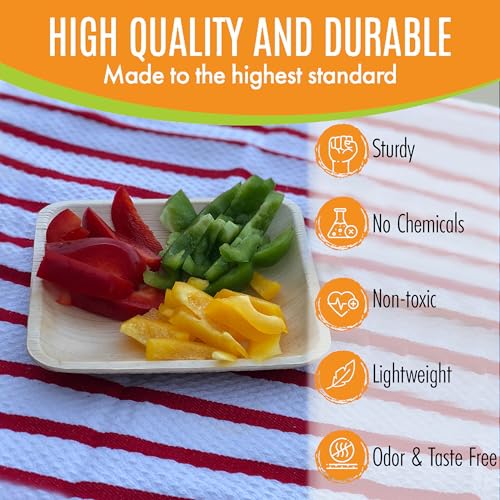 Raj Leaf Disposable Heavy Duty 6" Square Plates 200 Pack