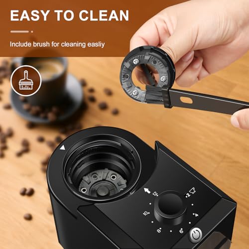 Electric Burr Coffee Grinder