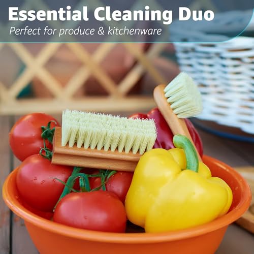 Vegetable Brush Set of 2 (2 count count)