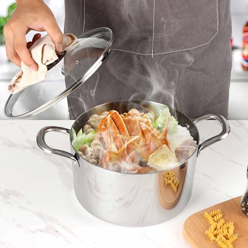 6 Quart Stock Pot