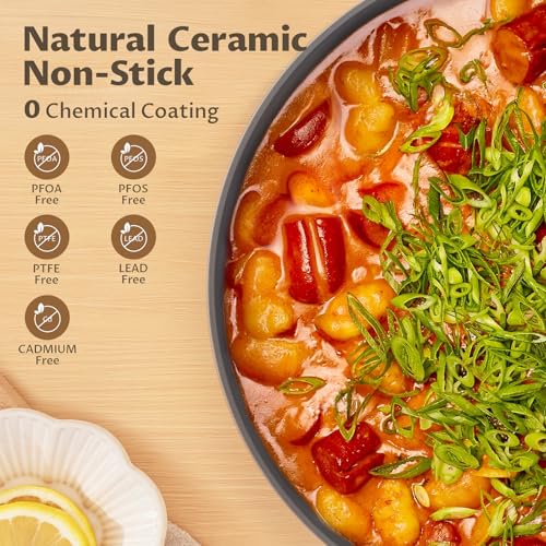 8QT Ceramic Non Stick Stock Pot with Lid