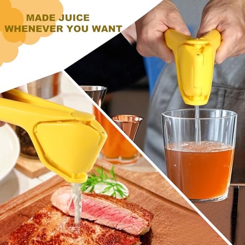 Lemon Squeezer