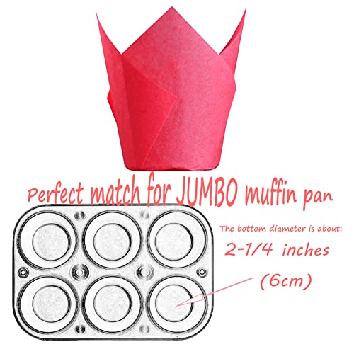 Red colour Large size Tulip Baking Cups 2 (130 Count)