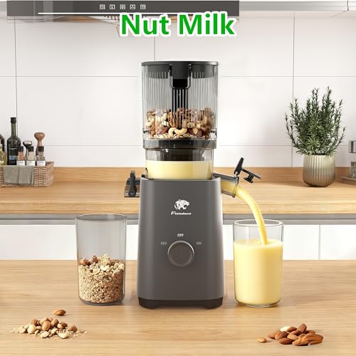 Cold Press Juicer