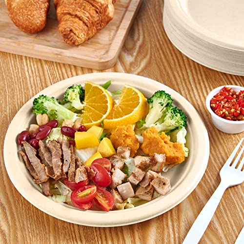 150 Pack Paper Plates 9 inch 100% Compostable (150 Count)