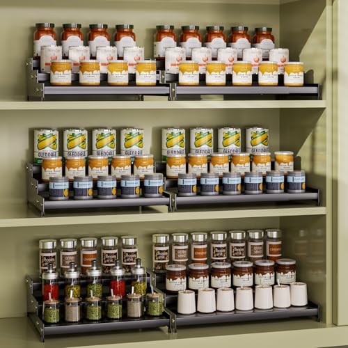 Expandable Carbon Steel Spice Rack Organizer for Pantry