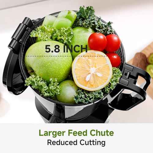 Cold Press Juicer