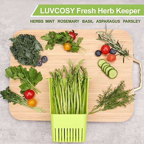 Fresh Herb Keeper for Refrigerator (2 Count)