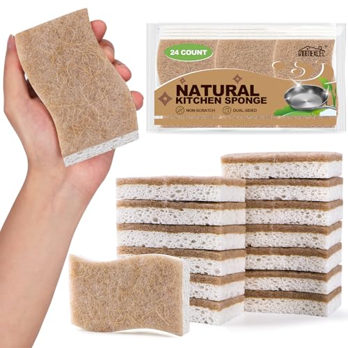 Kitchen Dish Sponges (24 Count)