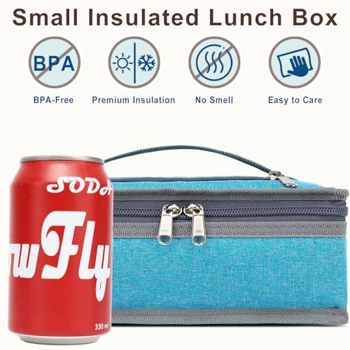 Small Insulated Lunch box Portable Soft Bag Mini Cooler Thermal Meal Tote Kit with Handle for Work & School