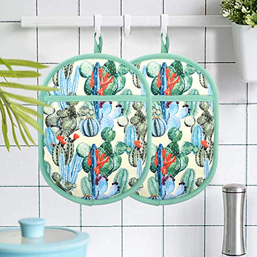 Pot Holders with Transparent Clear Silicone Shell and Nice Cactus Flower (2 Count)