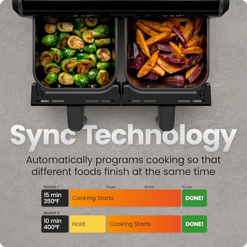 Dual Air Fryer Oven with DC Motor