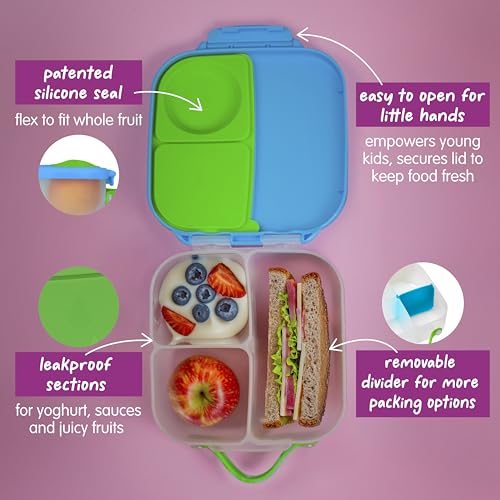 Mini Lunch Box