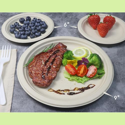 500 Count 6“ Small Compostable Dessert Plates