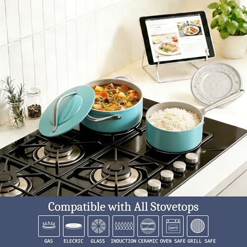 Premium Ceramic Sauce Pan with Lid