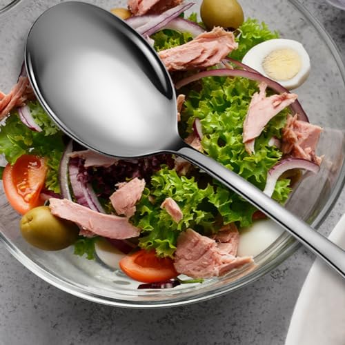 Stainless Steel Serving Spoons Set (8 Count)