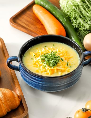 Soup Bowls 20 OZ French Onion Soup Crocks with Handles (4 Count)