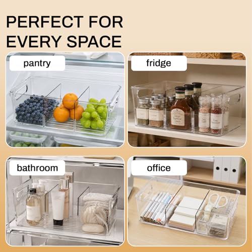 10 Pack Pantry Organizers and Storage (10 Count)