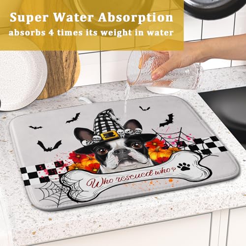 Dish Drying Mat for Kitchen Counter