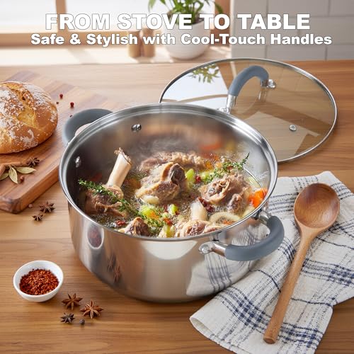 Basics 3 Quart Stainless Steel Stock Pot with Lid