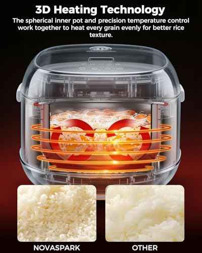 Stainless Steel Rice Cooker Small 6 Cup