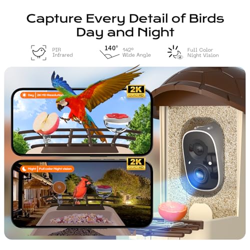 Bird Feeder with Camera