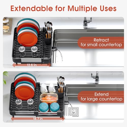 Expandable Dish Drying Rack for Kitchen Counter